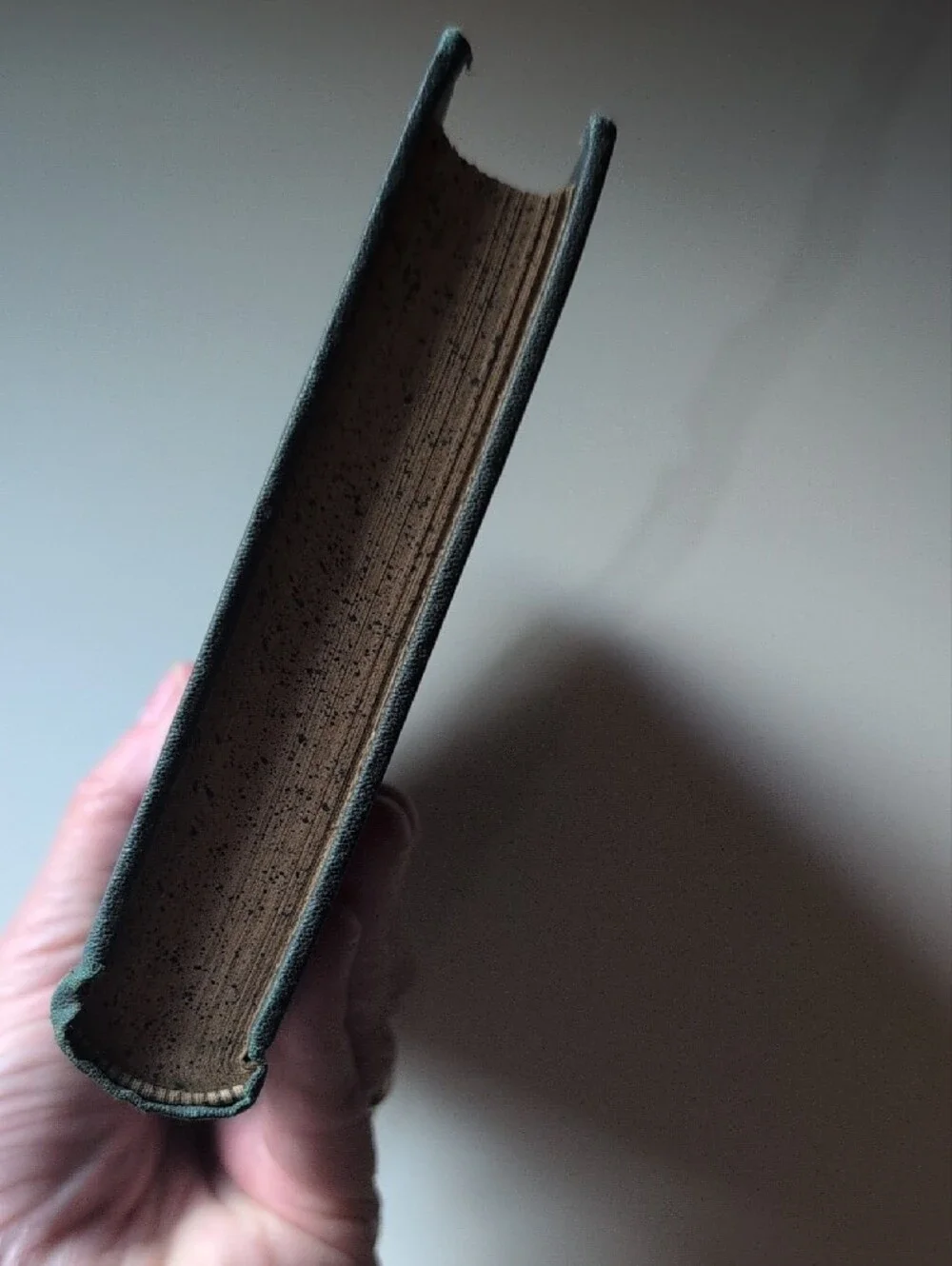 VTG Antique Victor Hugo Notre Dame Vol. I Hardcover Book PF Collier Illustrated